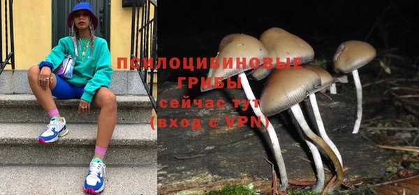 apvp Беломорск