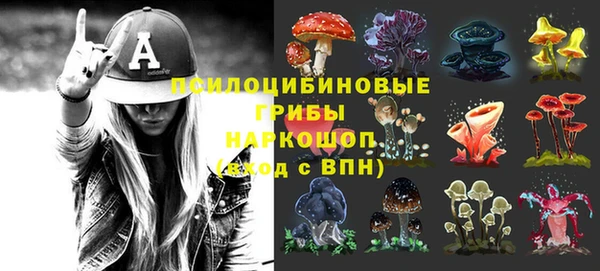 сатива Белоозёрский