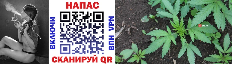 Шишки марихуана Bruce Banner  кракен онион  Пикалёво 